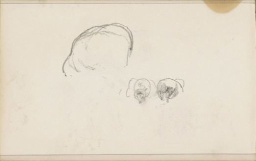 Sheep's fleece