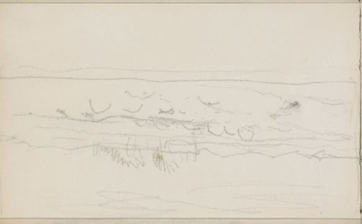 Landscape with Sheep