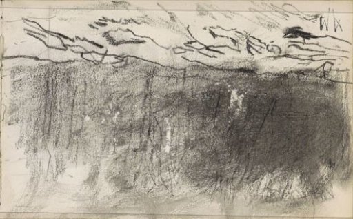 Field at the edge of a forest
