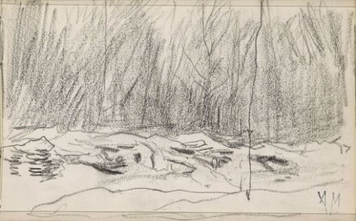 Pieces of wood by a forest edge