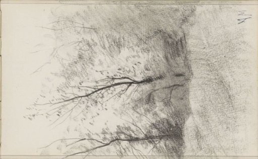 Landscape with trees