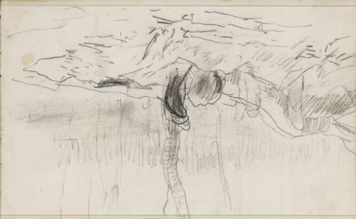 Figure by felled tree trunks in a forest