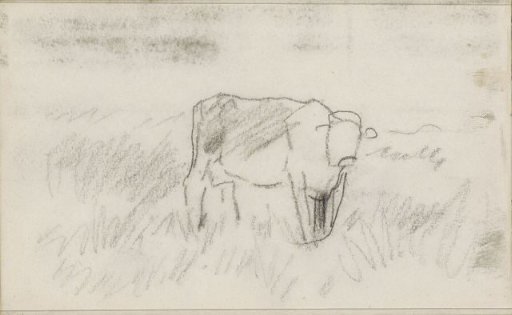 Cow in a meadow