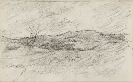 Hilly landscape