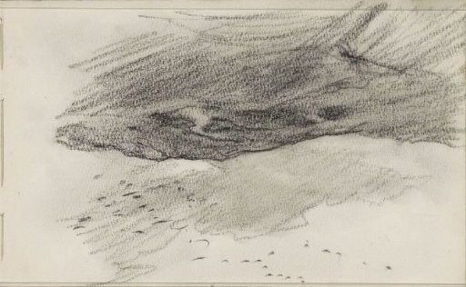 Flock of birds over a hilly landscape