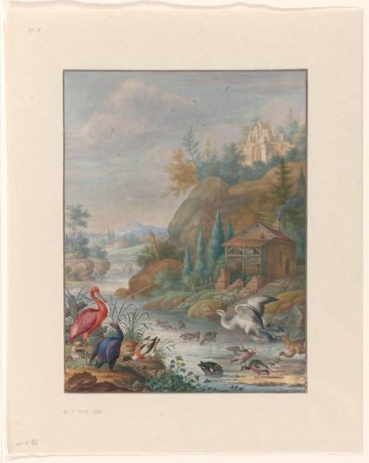 Birds near a Mountain Stream