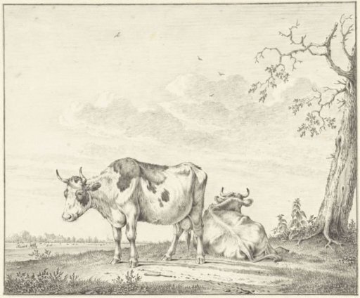 Two cows