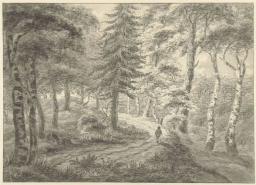 Forest View