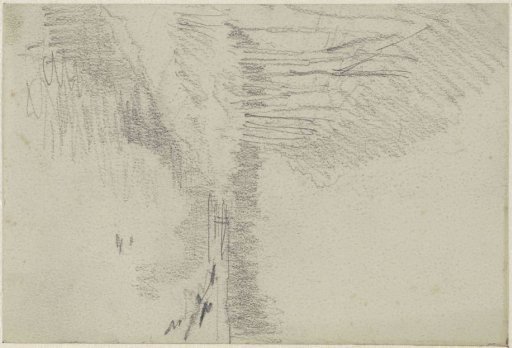 Landscape with trees along a canal