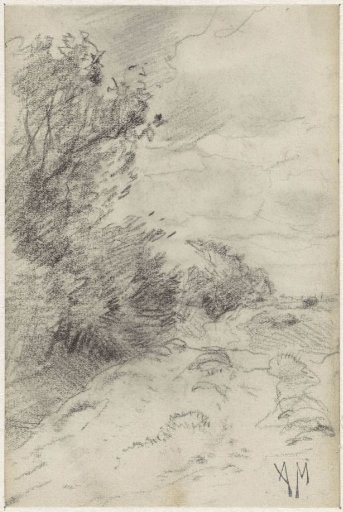 Landscape with bushes
