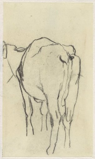 Standing cow, from behind
