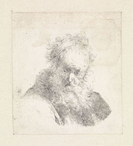 Head of an old man with beard