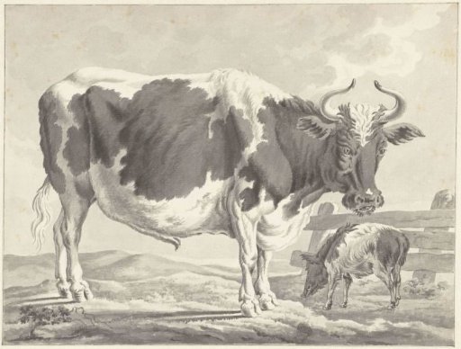 Black-and-white bull and a pig