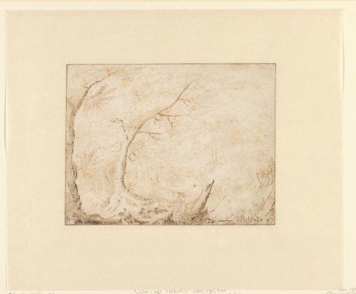 Wooded landscape