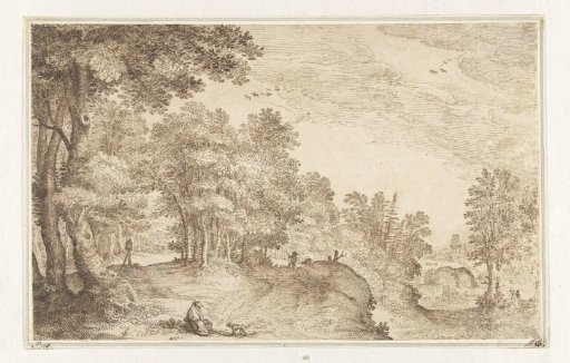 Forest landscape