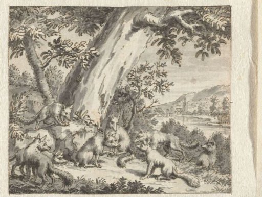 The Fox Who Had His Tail Cut Off