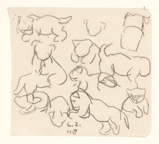 Sketches of a Lion Cub