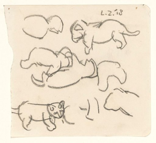 Sketches of a Lion Cub