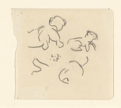 Sketches of a Lion Cub