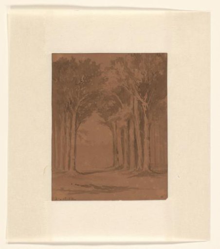 Tree-lined avenue