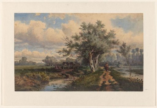 Landscape with cows and water