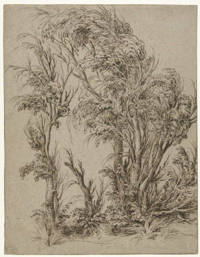 Trees in the wind