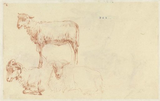 Studies of a Sheep, Lying and Standing