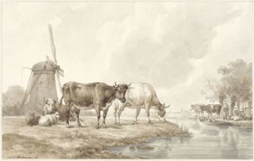 Cattle in a meadow by the water near a mill