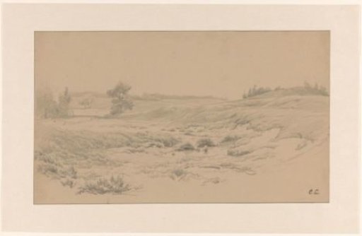 Heath landscape