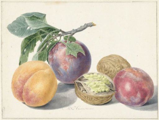 Still life with fruit