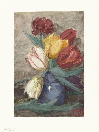 Tulips in a vase
