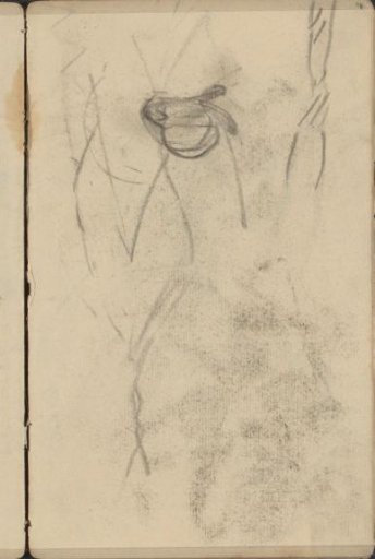 Study