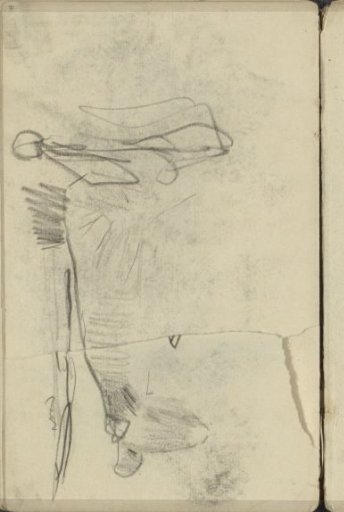 Hindquarters of a cow