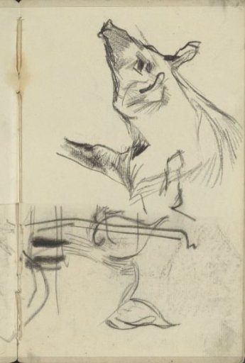 Pig and horse's head