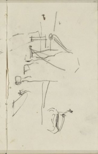 Rear view of a horse or cow