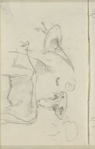 Study sheet with cows, a bird, and a head