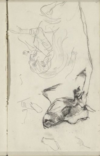 Figure studies and a cow's head