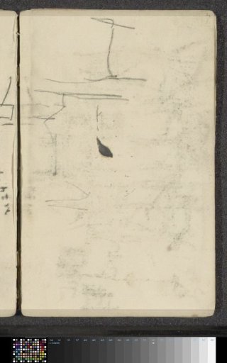 Study