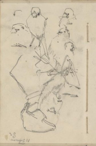 Bust of a Man and Birds, Possibly Collared Parakeets