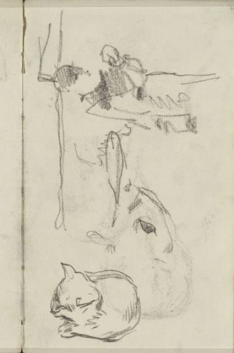 Study sheet with a rabbit and a cat