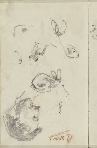 Study sheet with a man's head and fish