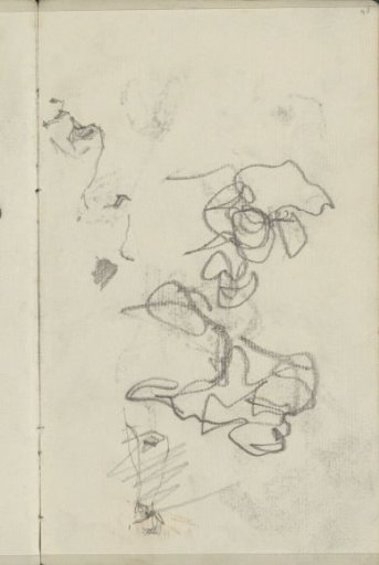 Study