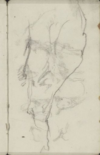 Study