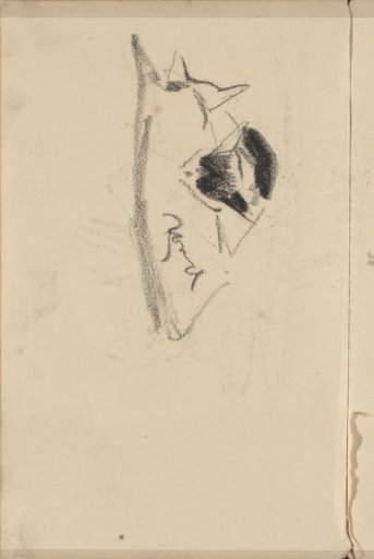 Two cats