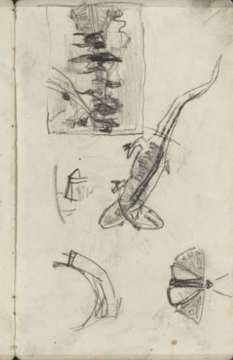 Study sheet with riders on the street and animals
