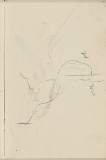 Study