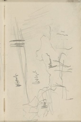 Study