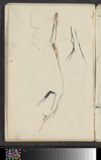Horse Legs