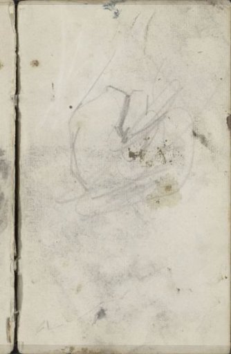Study