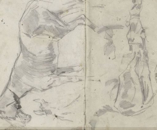 Study sheet with horses